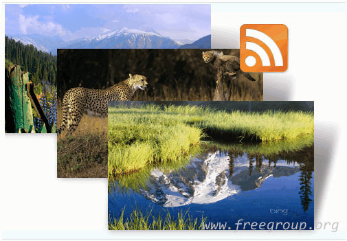 Bing Dynamic 透過rss Feed 自動下載 更新bing 背景圖 免費資源網路社群