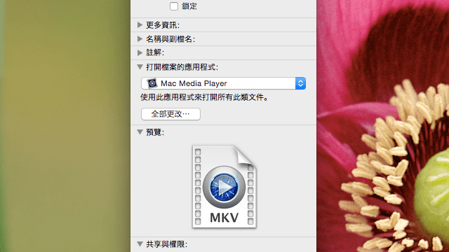 Mac Media Player