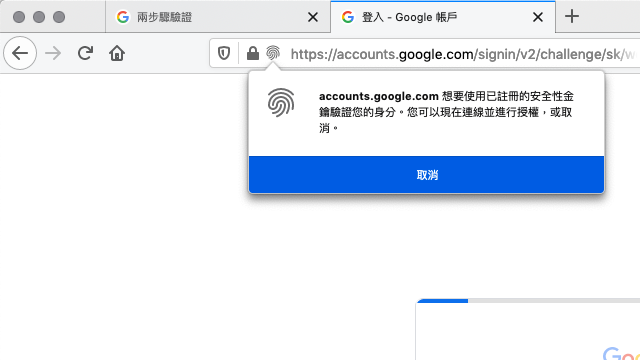 Google 進階保護計劃