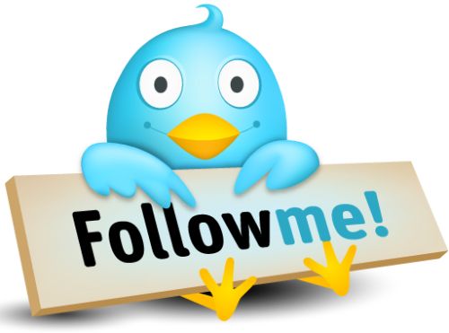 Twitter Follow Me!