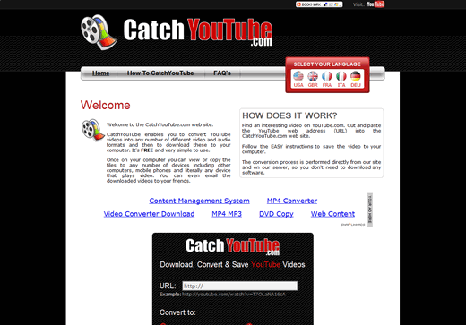 15-video-hosting-downloader-catchyoutube.png