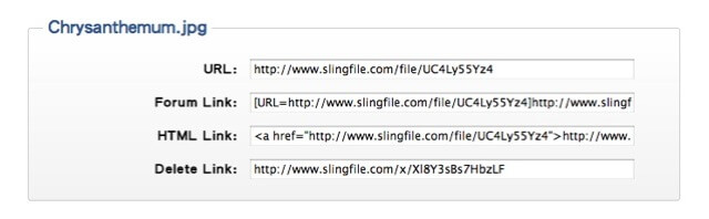 SlingFile 安全快速的 500 GB 免費空間，無上傳下載限制