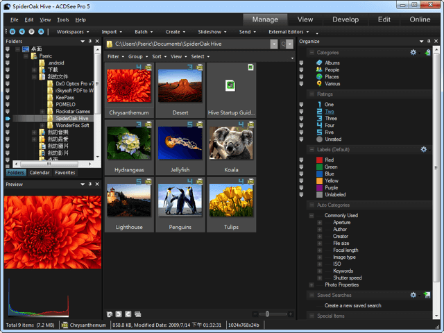 ACESee Pro 5 專業相片編輯器、相片管理軟體，限時免費下載！