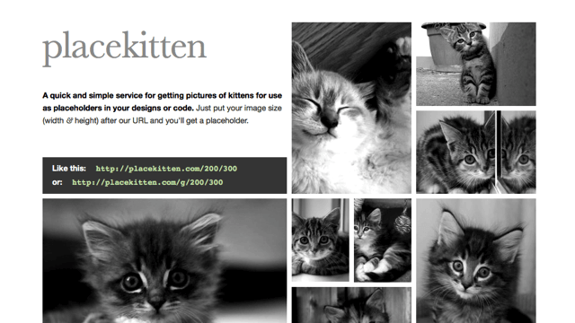 Placekitten 產生特定大小的小貓範例圖片，製作網頁、平面設計師適用！