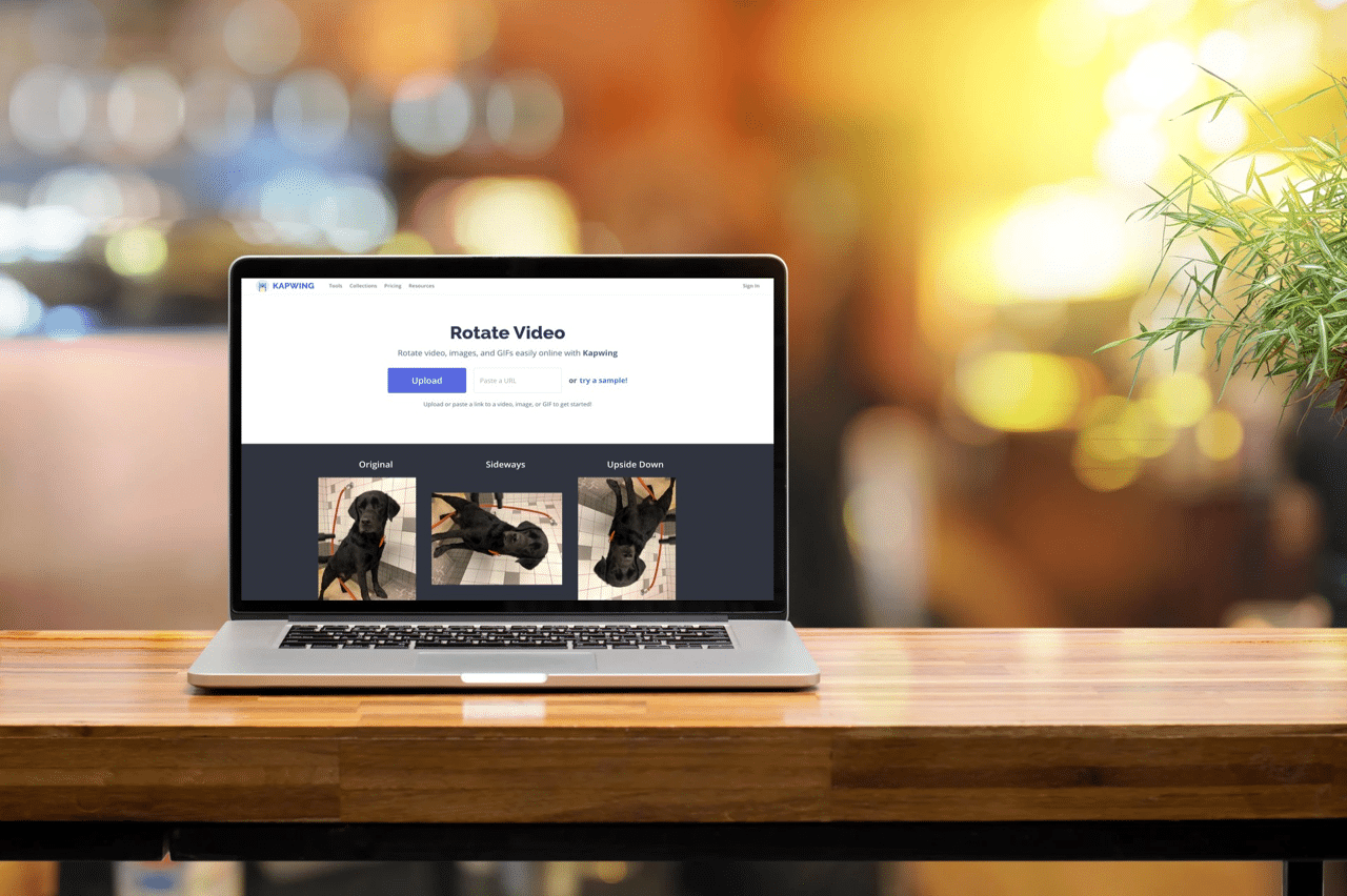 Kapwing Rotate Video 線上影片旋轉工具，快速調整方向或鏡像翻轉