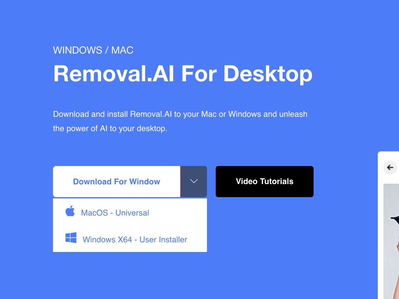 Removal.AI for Desktop
