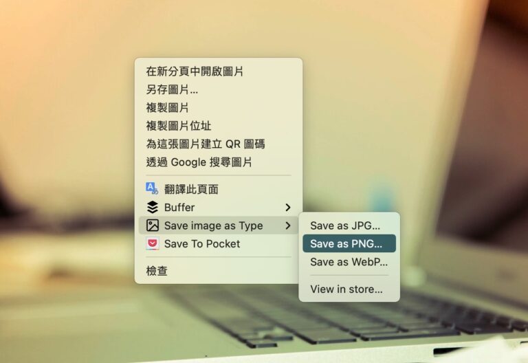 Save image as Type 將 WebP 圖片下載為 JPG 或 PNG 格式免轉檔（Chrome 擴充功能）