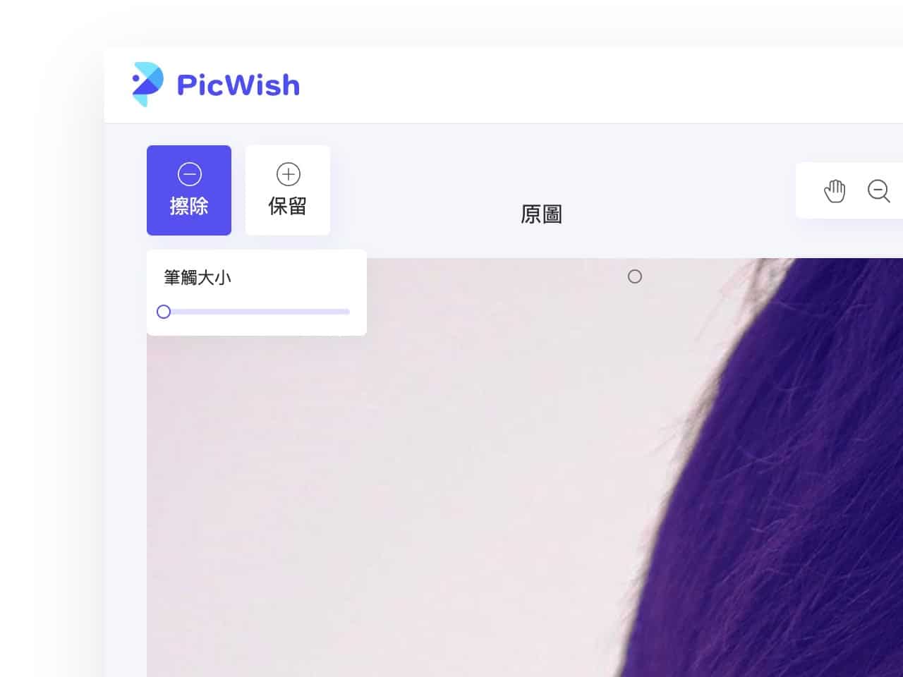 PicWish