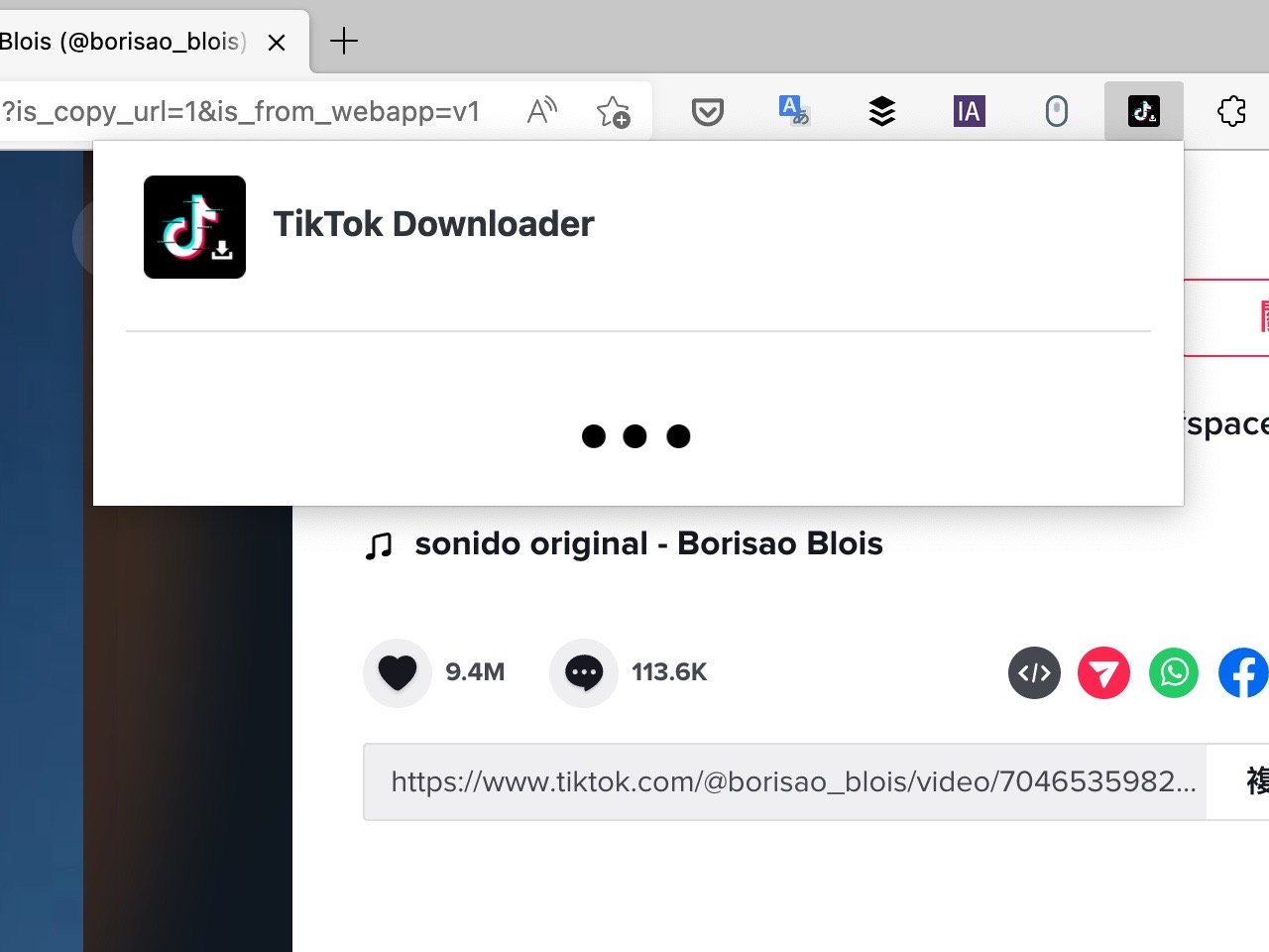 TikTok Downloader