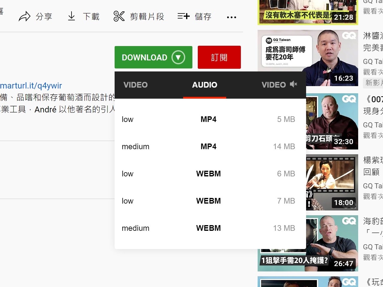 YouTube 4K Downloader 免費 YT 影片下載器，快速儲存影片音樂格式