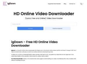 igDown 免費線上影片下載工具，支援超過 40 種網路服務和影音平台