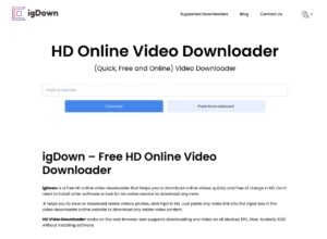 igDown 免費線上影片下載工具,支援超過 40 種網路服務和影音平台 3 igDown 免費線上影片下載工具,支援超過 40 種網路服務和影音平台