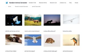Random Animal Generator：免費高畫質動物圖庫與下載教學