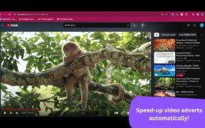 Ad Speedup 自動加速與靜音 YouTube 廣告,實現快速跳過功能 4 Ad Speedup 自動加速與靜音 YouTube 廣告,實現快速跳過功能