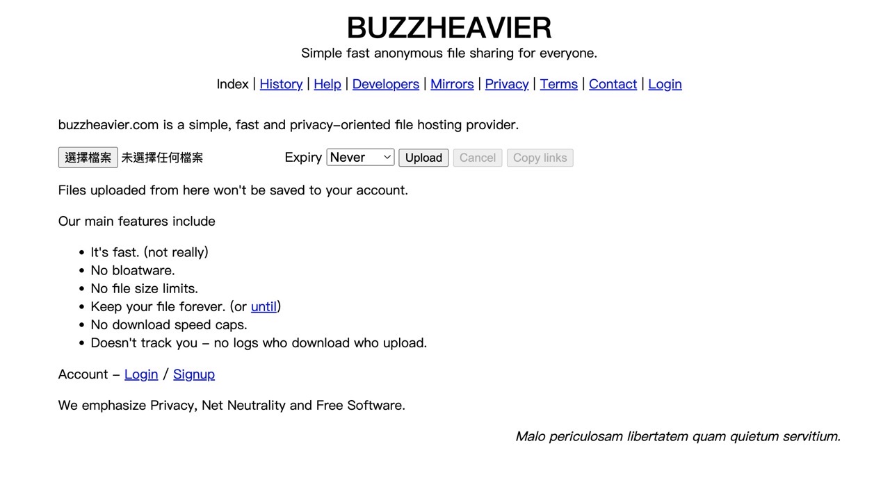 Buzzheavier：免費、快速、無容量限制的檔案分享平台，注重隱私並提供檔案永久保存