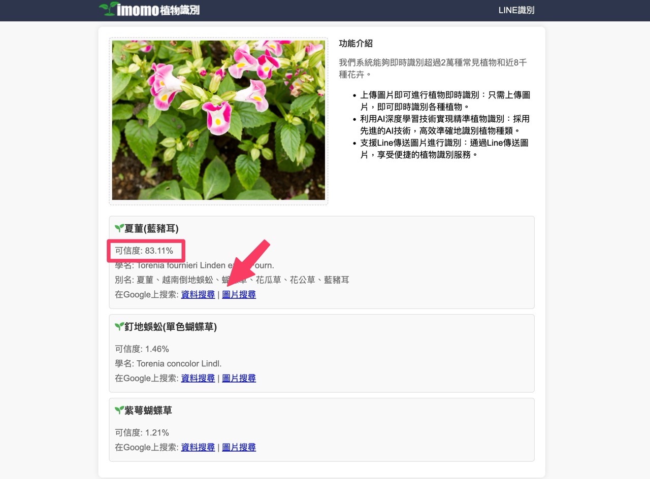 IMOMO 植物識別