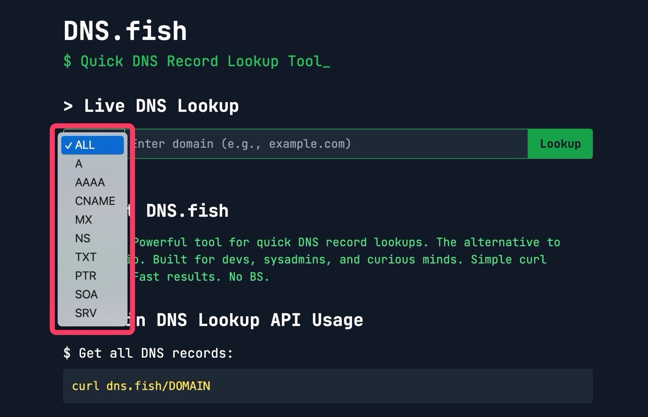 DNS.fish