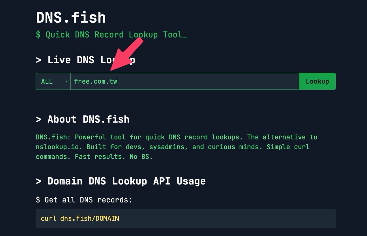 DNS.fish