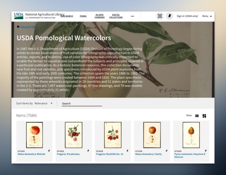 Usda Pomological Watercolors 1.jpg.jpeg