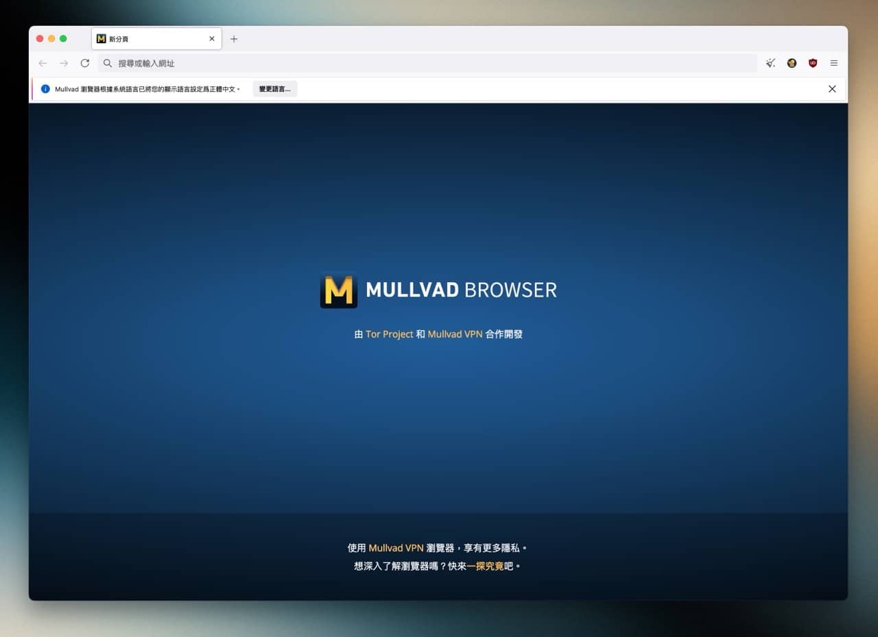 Mullvad browser 2.