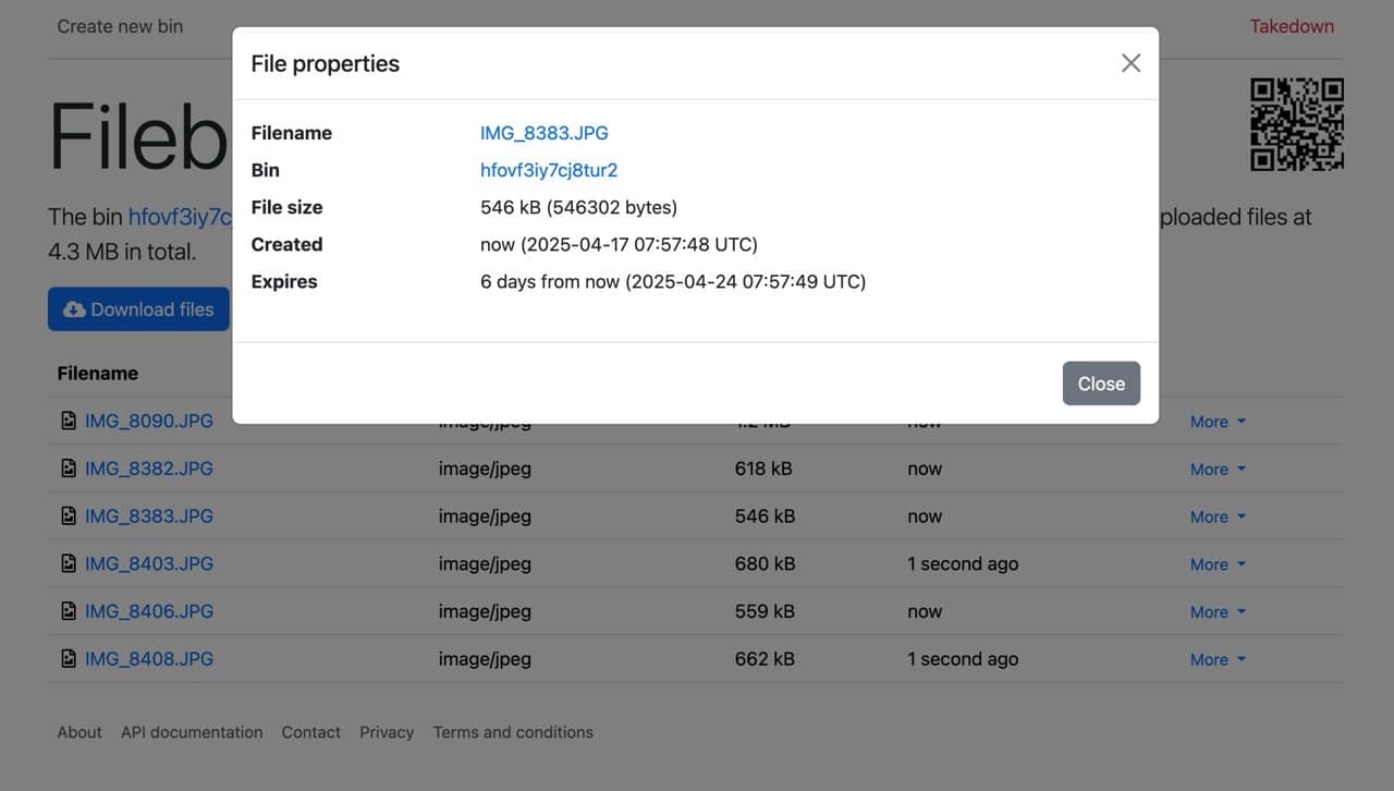 filebin-net-5.jpg Filebin