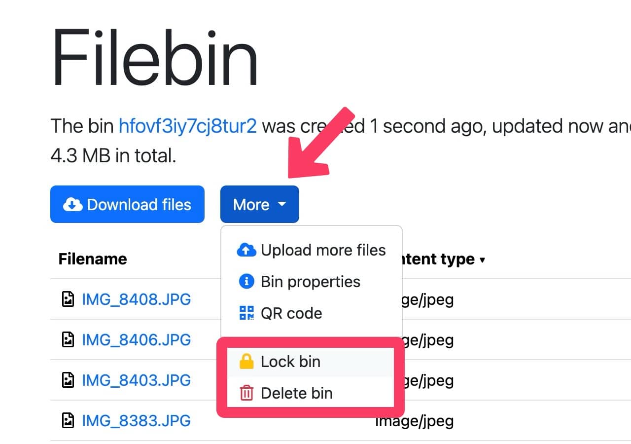 filebin-net-6.jpg Filebin