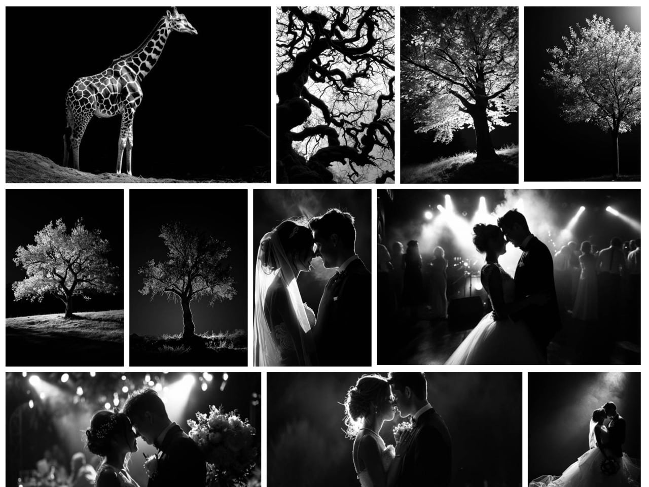 blackwhite-pictures-2.jpg BlackWhite Pictures