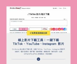 DLBunny 線上影片下載工具:一鍵下載 TikTok、YouTube、Instagram 影片與音訊