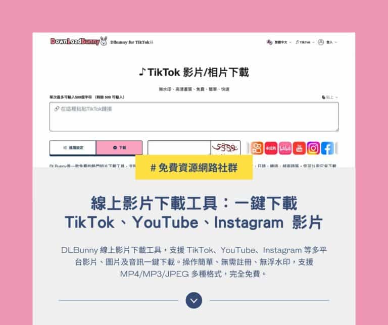 DLBunny 線上影片下載工具：一鍵下載 TikTok、YouTube、Instagram 影片與音訊