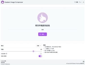 Caesium Image Compressor：輕鬆線上壓縮圖片，無需上傳、支援無損壓縮