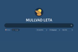 Mullvad Leta 搜尋引擎：極致隱私、無廣告體驗，整合兩大搜尋引擎