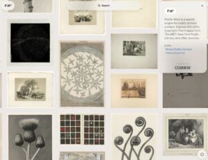 Public Work：免費公眾領域圖片搜尋引擎，無版權高畫質素材下載