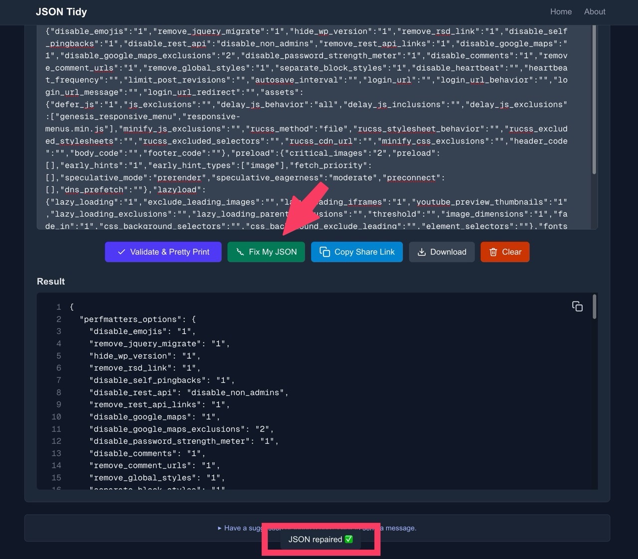 JSON Tidy