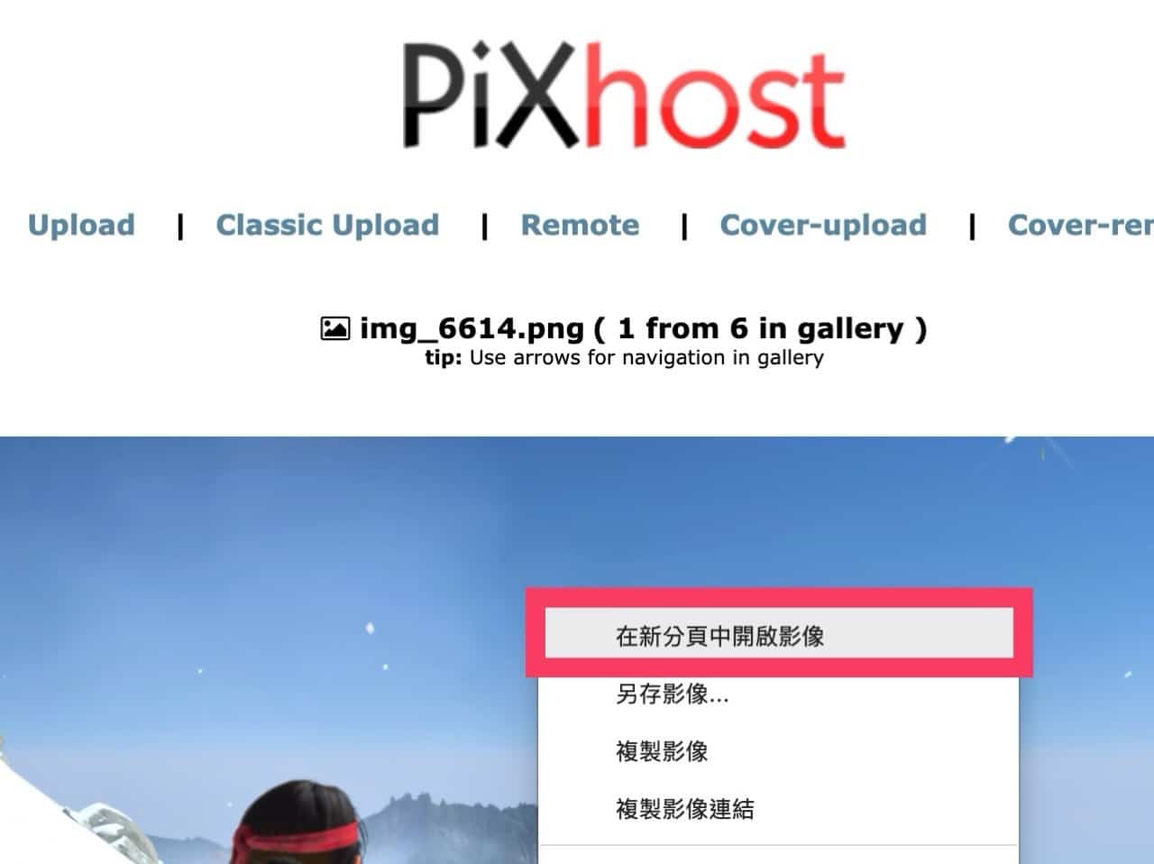PiXhost