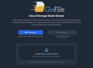 Gofile 老牌免費空間：免註冊、無單檔大小限制的檔案分享利器