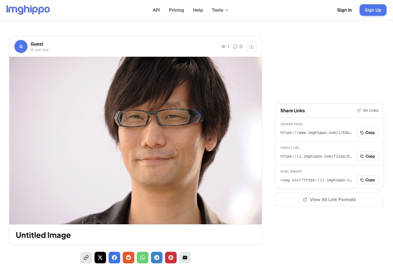 圖片頁面右側的 Direct URL 直接連結欄位