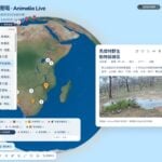 全球動物現場 Animalia Live：86 個 24 小時動物直播免費看，中文介面、免註冊